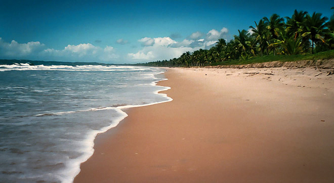 Brazil beach, 2001