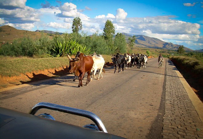 Madagascar road, 2006